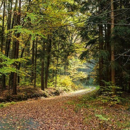 Villa Weinberghaus Prossen Bad Schandau Esterno foto