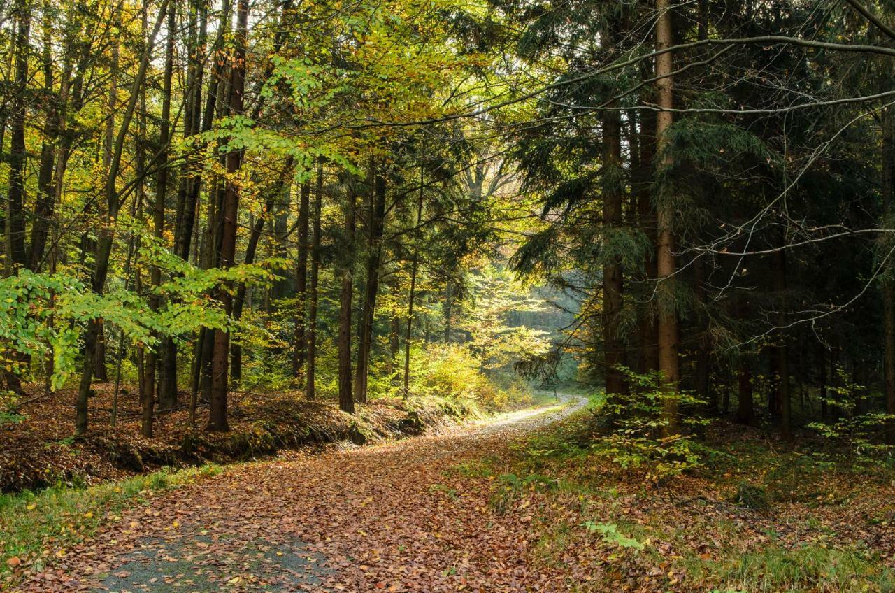 Villa Weinberghaus Prossen Bad Schandau Esterno foto